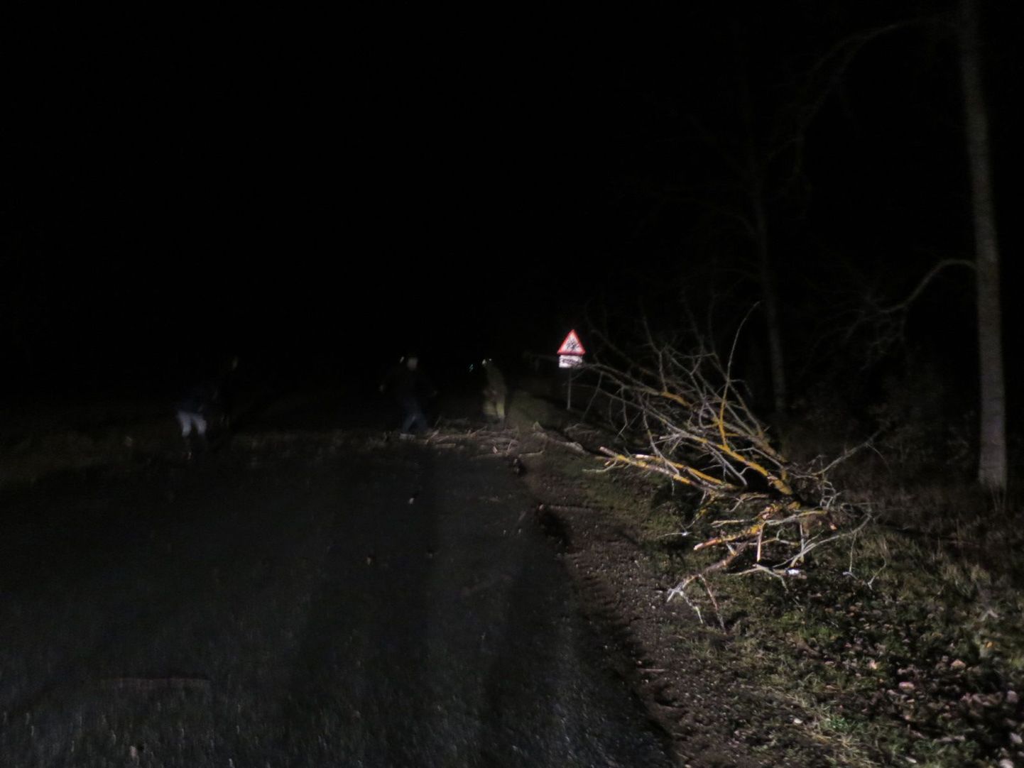 Suurõppusel Orkaan osalevad kaitseliitlased aitasid Kabli lähedal eemaldada teele langenud puu.