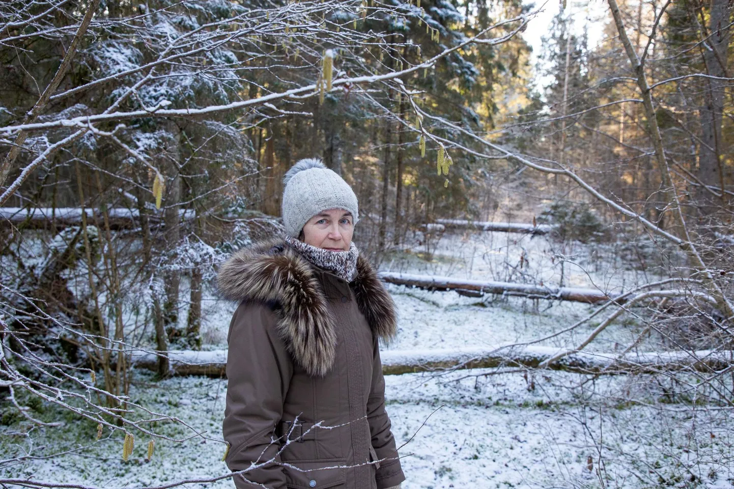 Metsakonsulent Ülle Läll ütleb, et esimesena tüdinevad kasuahne metsaparisniku sildist väiksemad metsaomanikud.