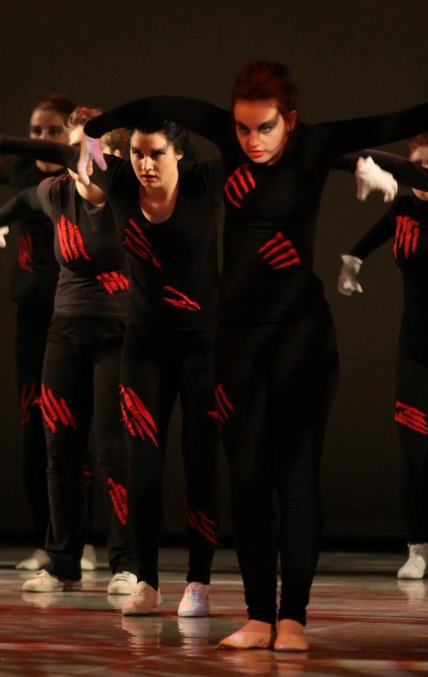 Koolitants 2013.