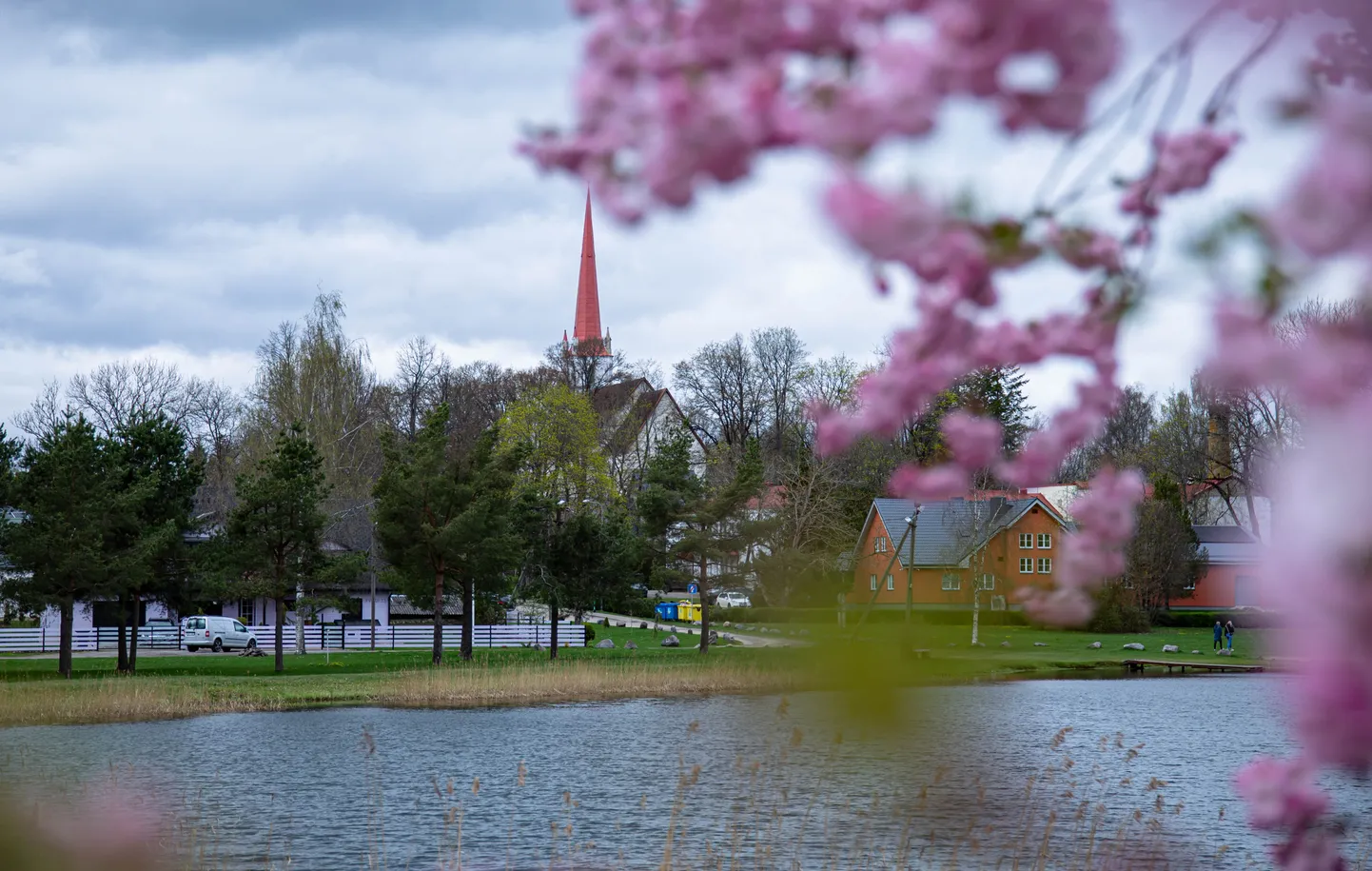 Türil õitsevad kirsipuud