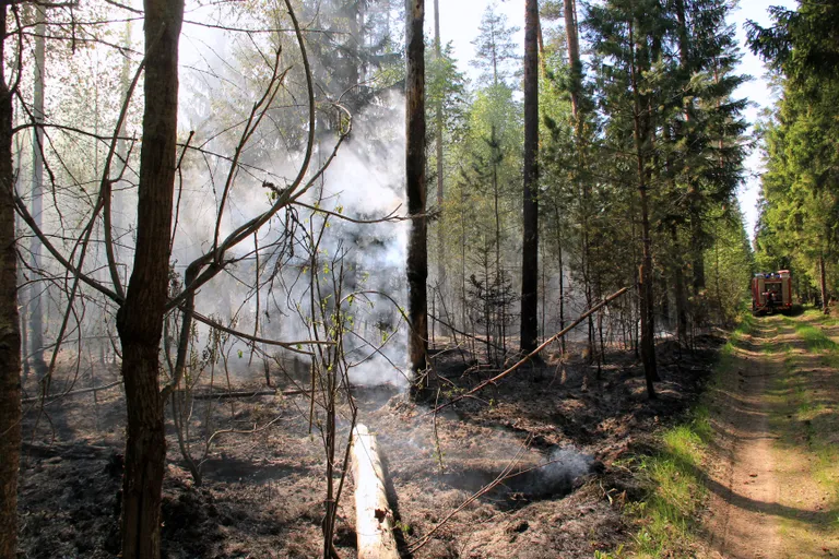 Metsapõleng Hummuli vallas Aitsra külas.