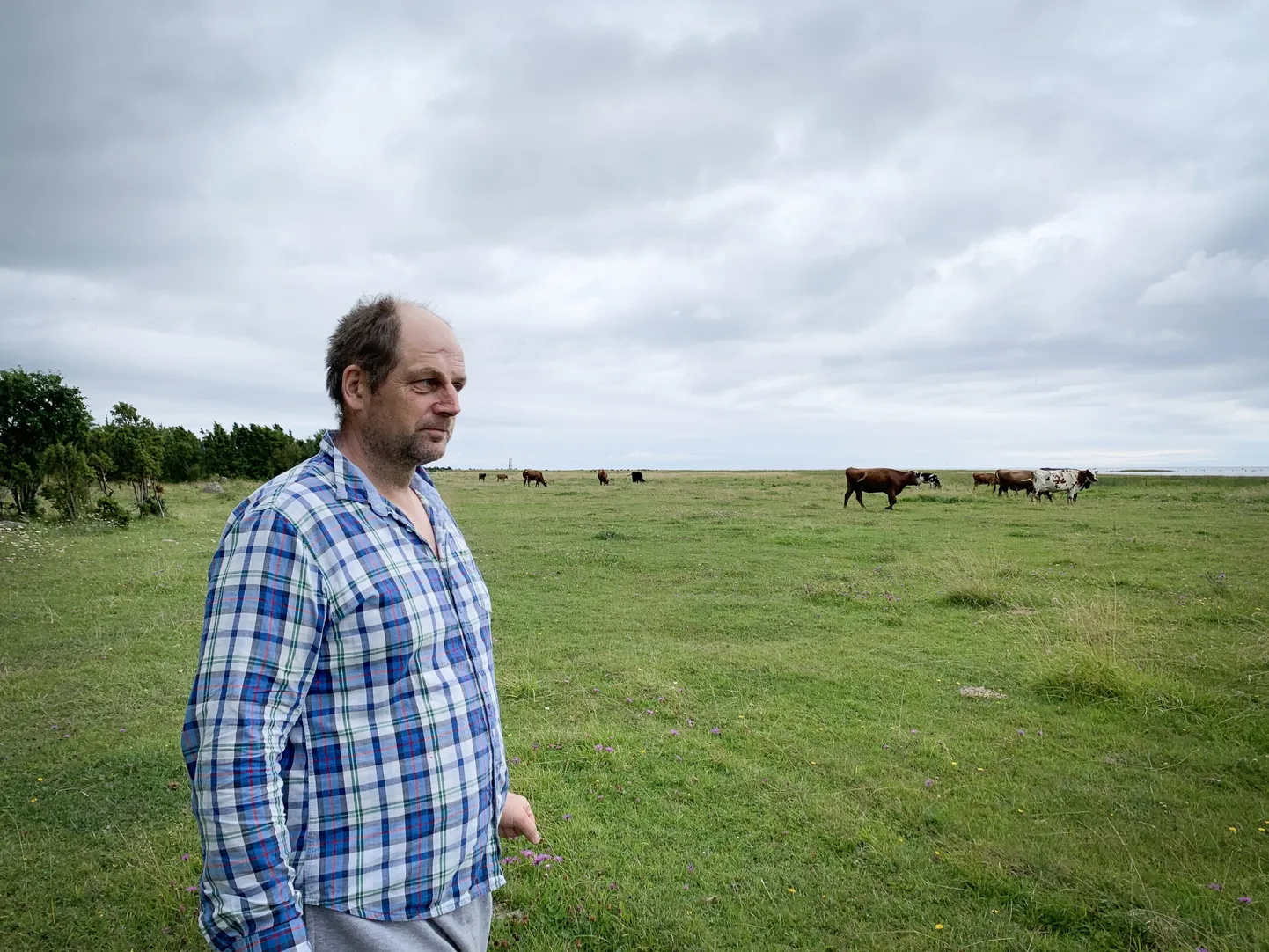 VÄIKETOOTJA: Jaak Laus ei taha mõeldagi, et peaks elama maal ilma loomi pidamata.