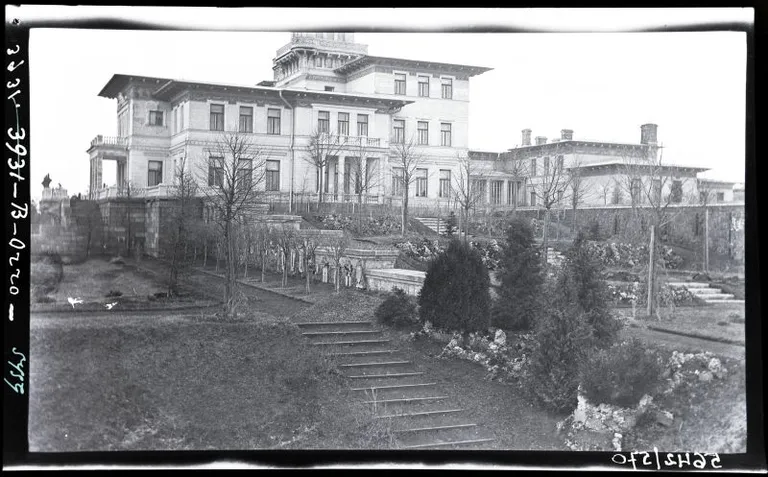 Artikli foto