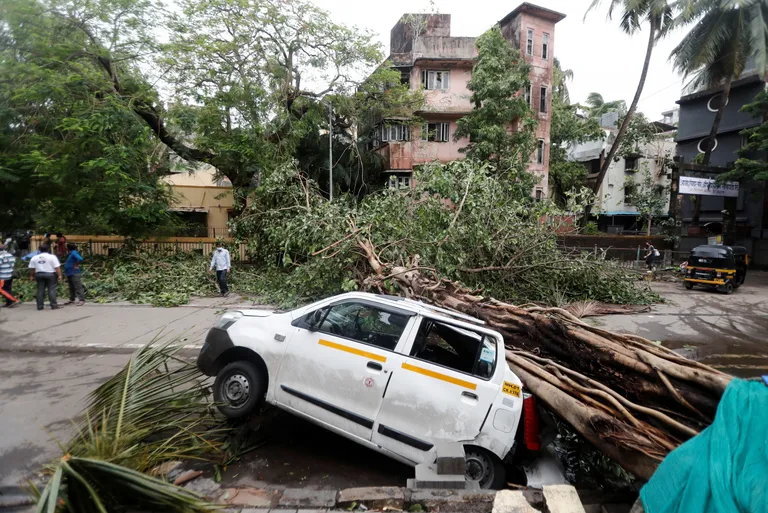 Tsüklonis murdunud puu Mumbai tänaval.
