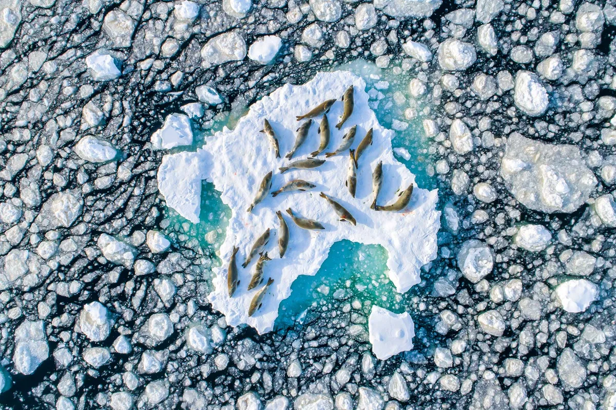 Фото статьи