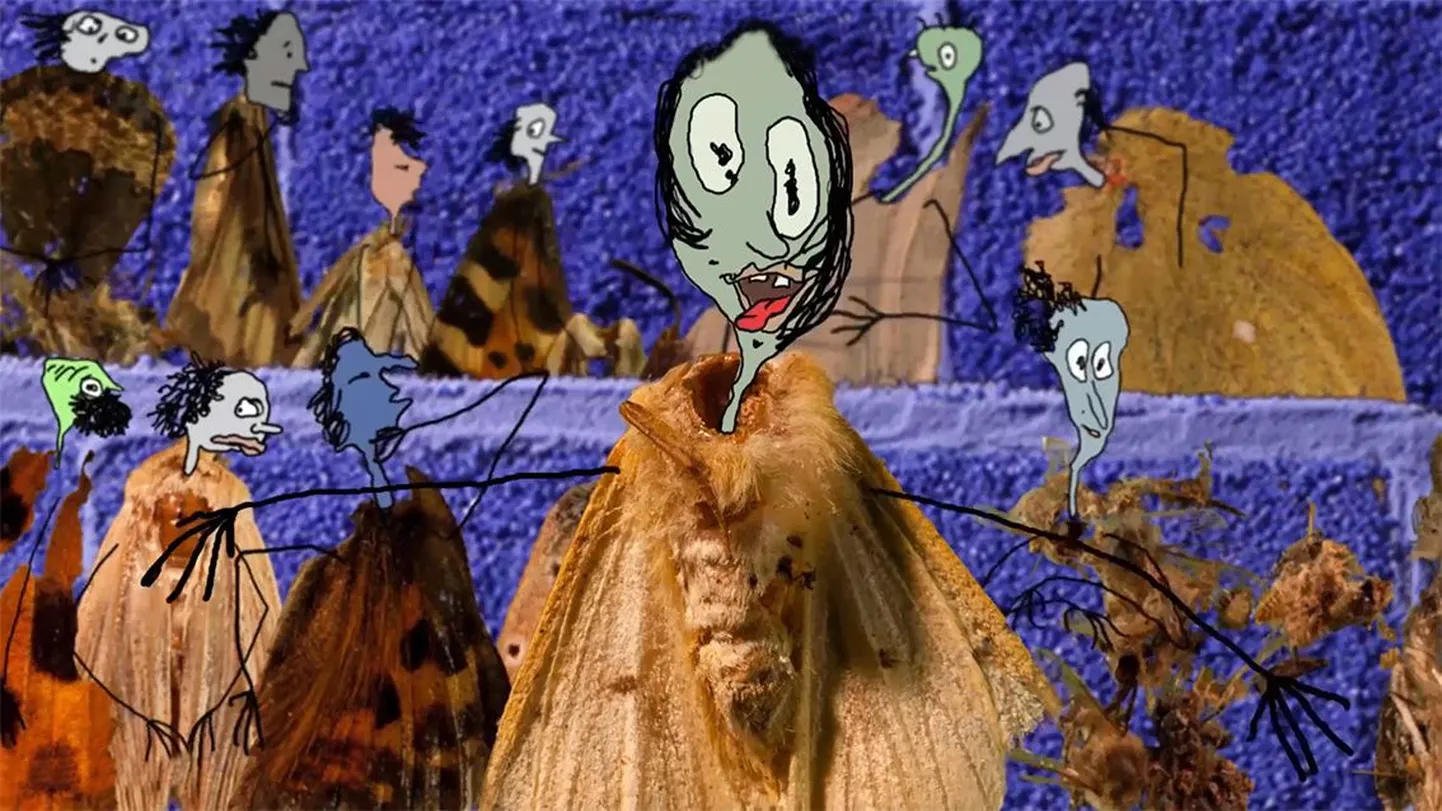 Rao Heidmetsa animafilm «Elu enne elu»