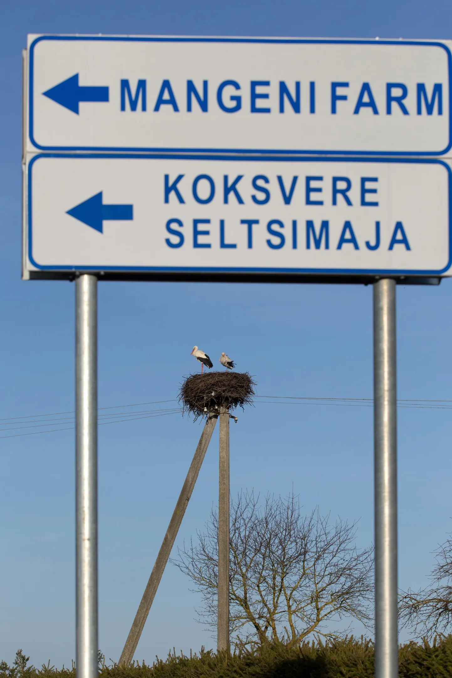 Mangeni PM kannab Viljandimaa 2018. aasta ettevõtte tiitlit.