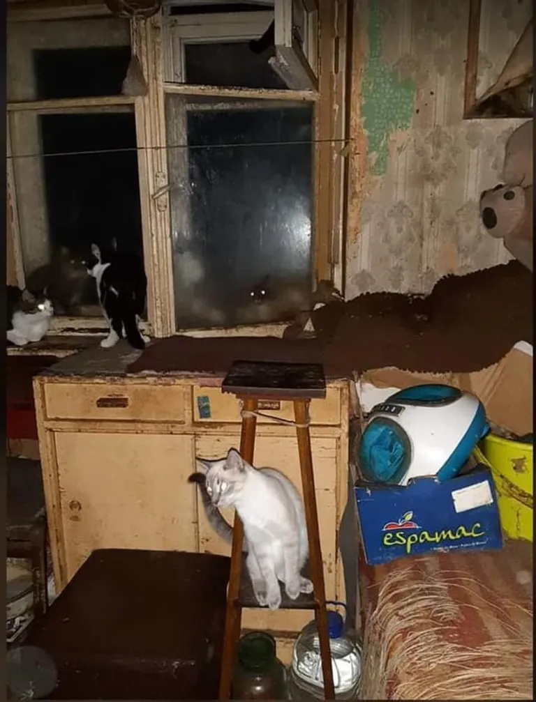 Artikli foto