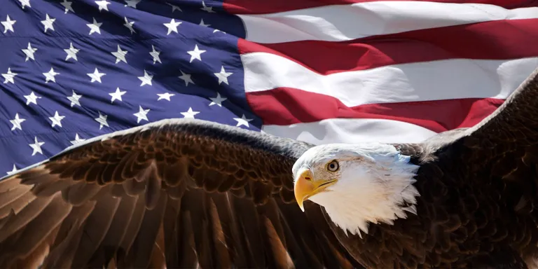Valgepea-merikotkas on USA rahvuslind.