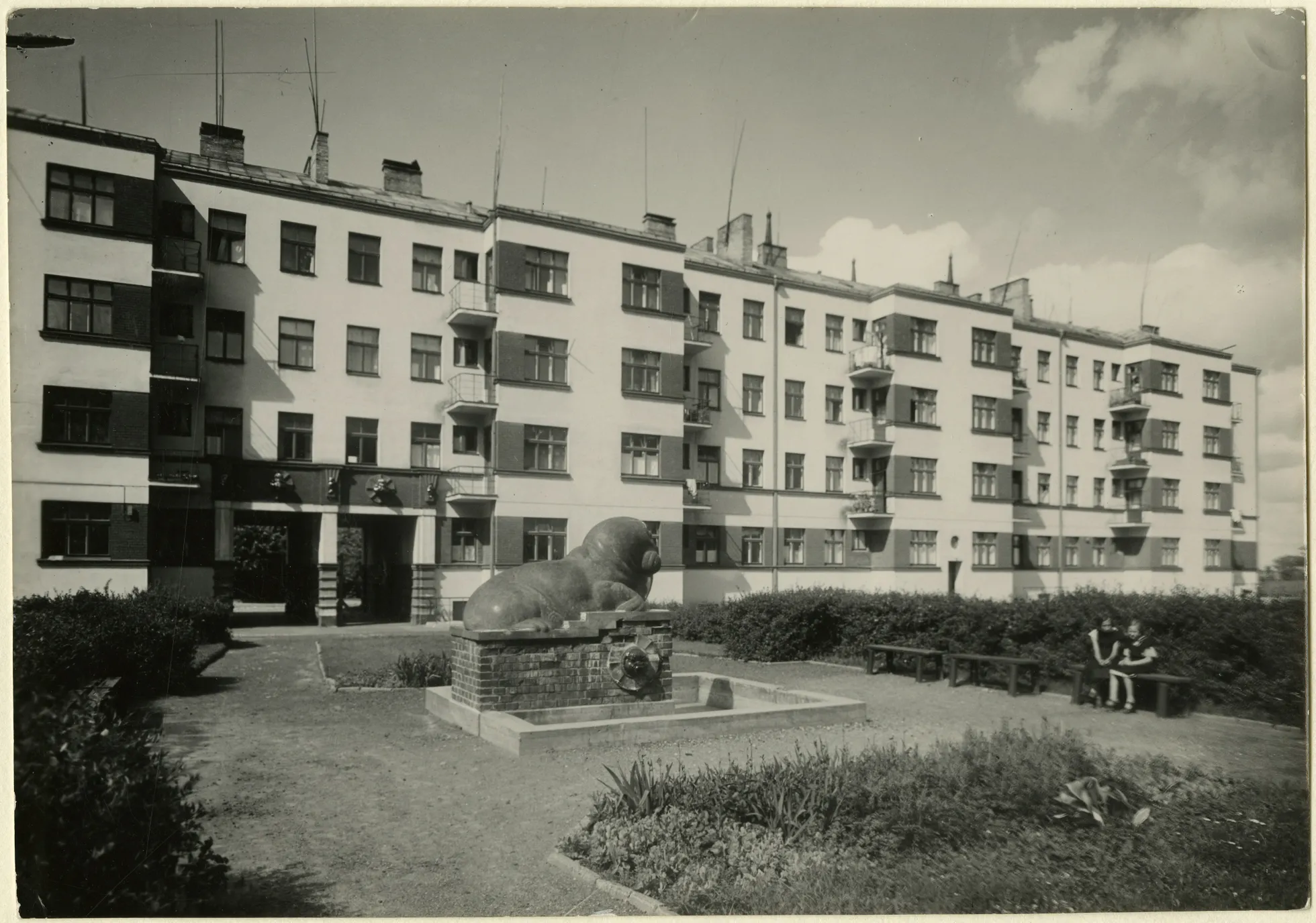 Raksta foto