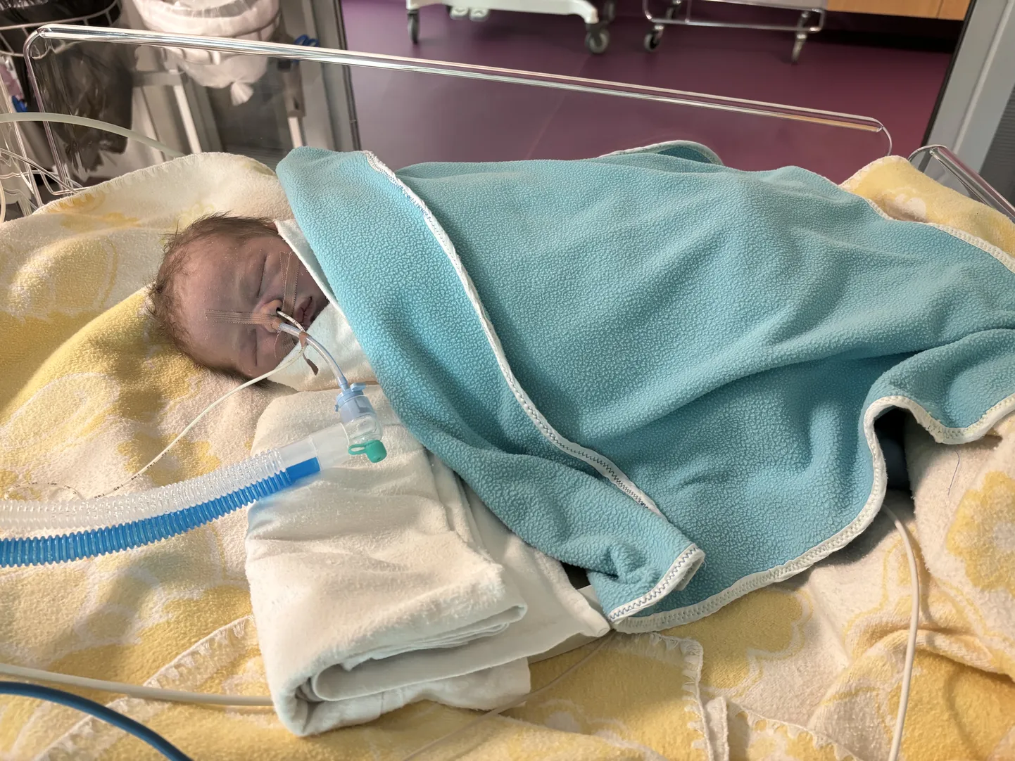 Väike vapper Iron võitleb tublisti elu eest. Kui operatsioon hästi läheb, võib teda ees oodata pikk ja ilus elu.