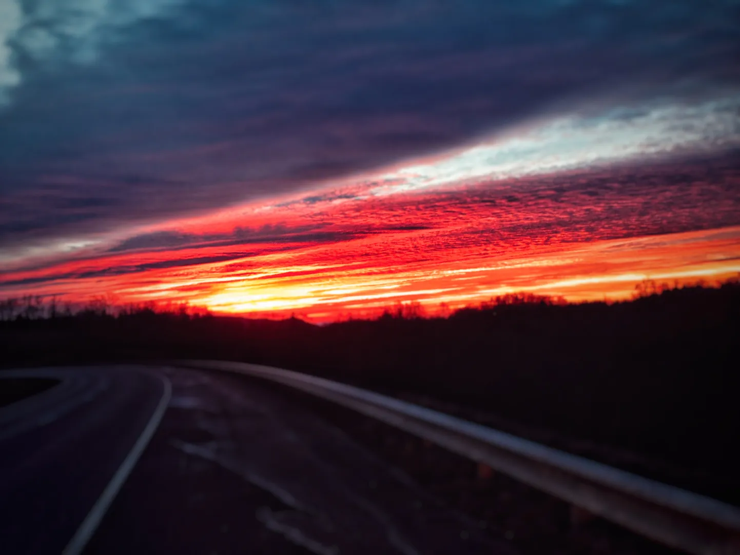 Artikli foto
