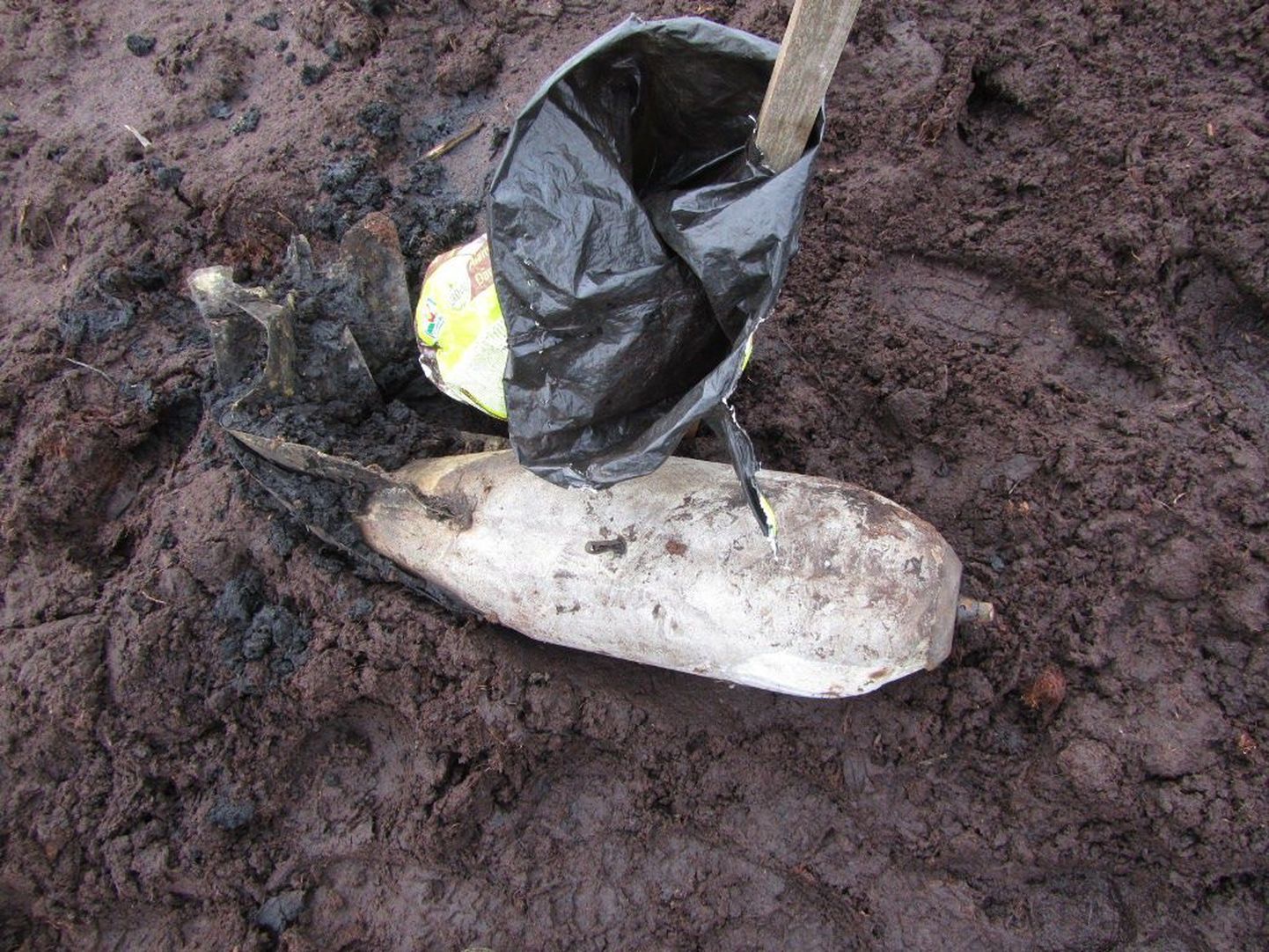 Sel sügisel on Nurme rabast leitud kokku viis lennukipommi, kõik on pinnasest välja tulnud turba freesimise käigus.