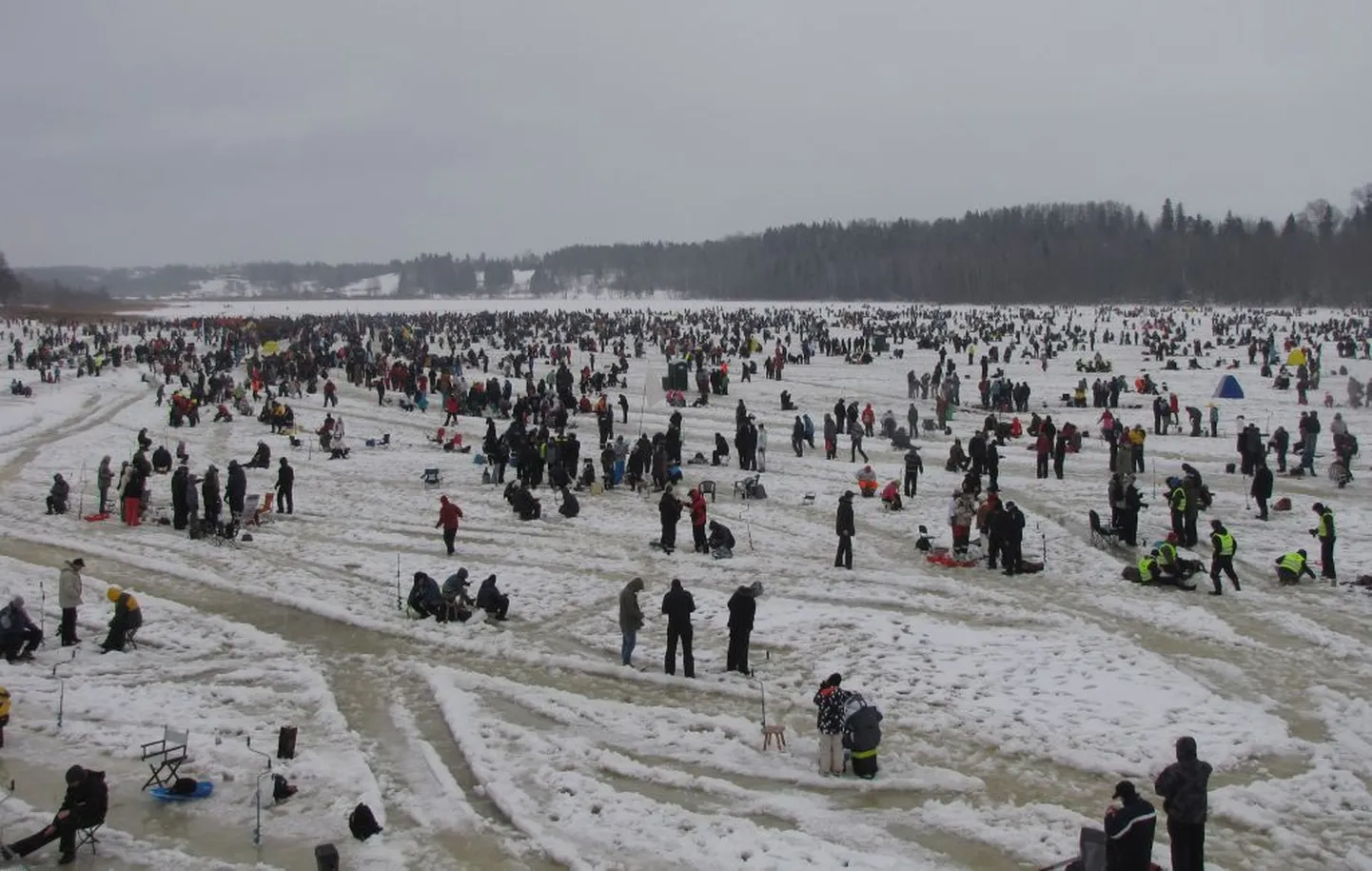 "Kuldkala 2013"