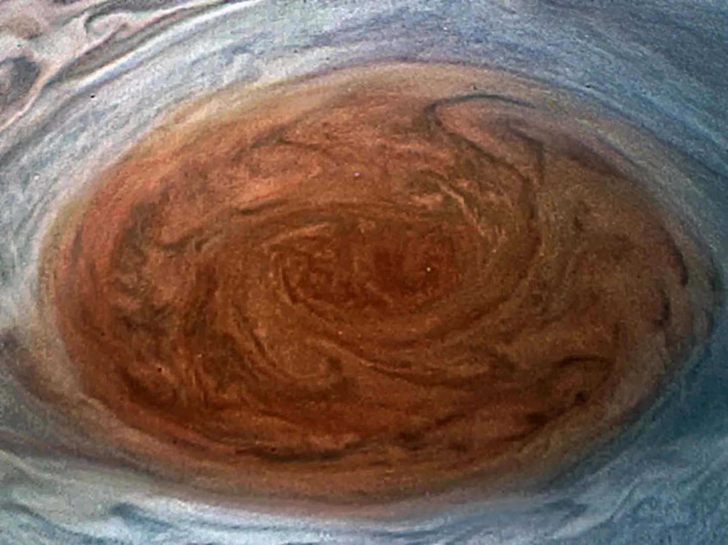This NASA handout image obtained July 12, 2017 shows the Great Red Spot on Jupiter taken by the Juno Spacecraft on its flyby over the storm on July 11.
NASA's Juno successfully peered into the giant storm raging on Jupiter. "My latest Jupiter flyby is complete!" said a post on the @NASAJuno Twitter account. "All science instruments and JunoCam were operating to collect data." The unmanned spacecraft came closer than any before it to the iconic feature on the solar system's largest planet.
 / AFP PHOTO / NASA / Handout / RESTRICTED TO EDITORIAL USE - MANDATORY CREDIT "AFP PHOTO /NASA/SWRI/MSSS" - NO MARKETING NO ADVERTISING CAMPAIGNS - DISTRIBUTED AS A SERVICE TO CLIENTS
