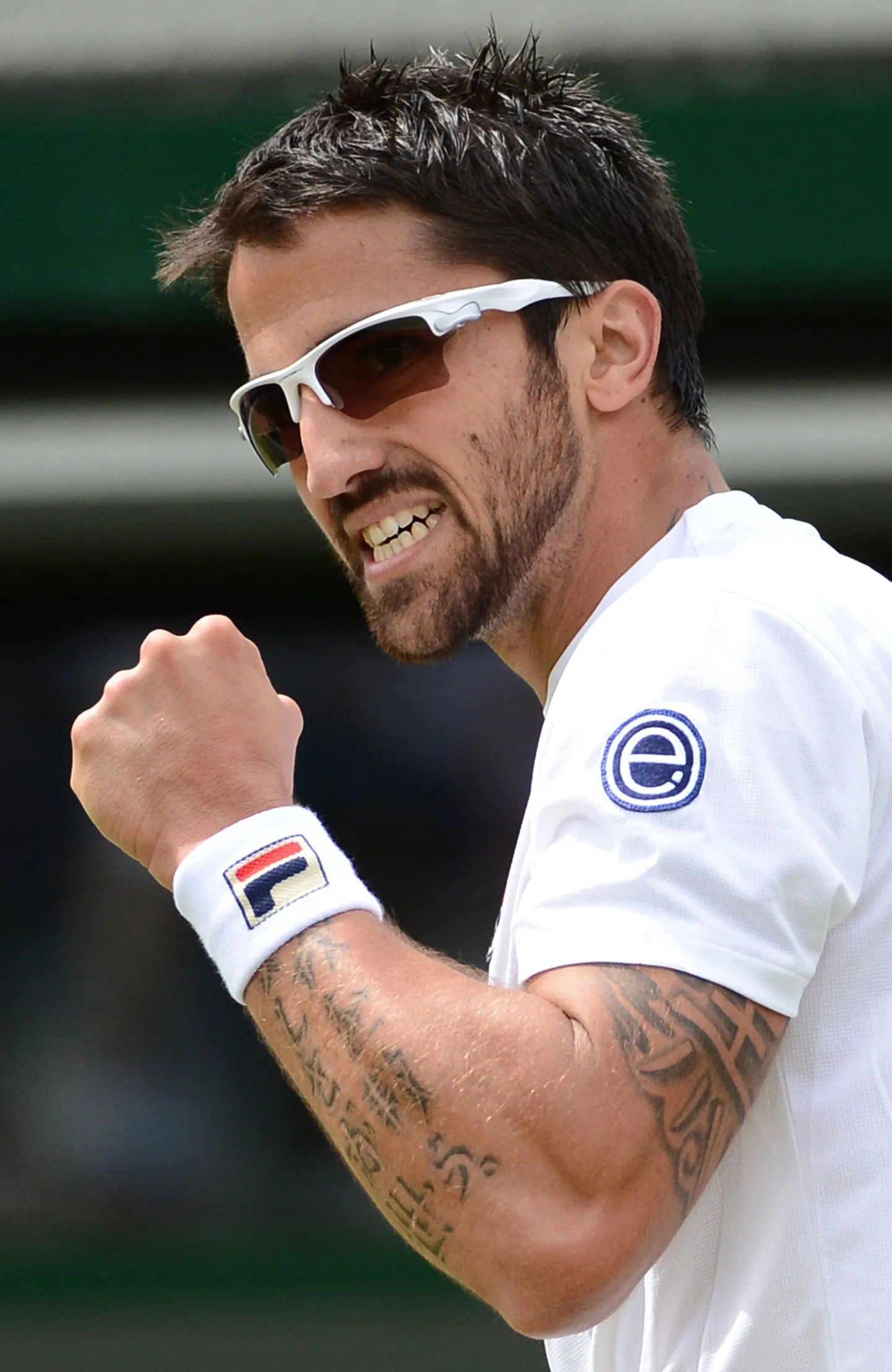 Janko Tipsarevic.