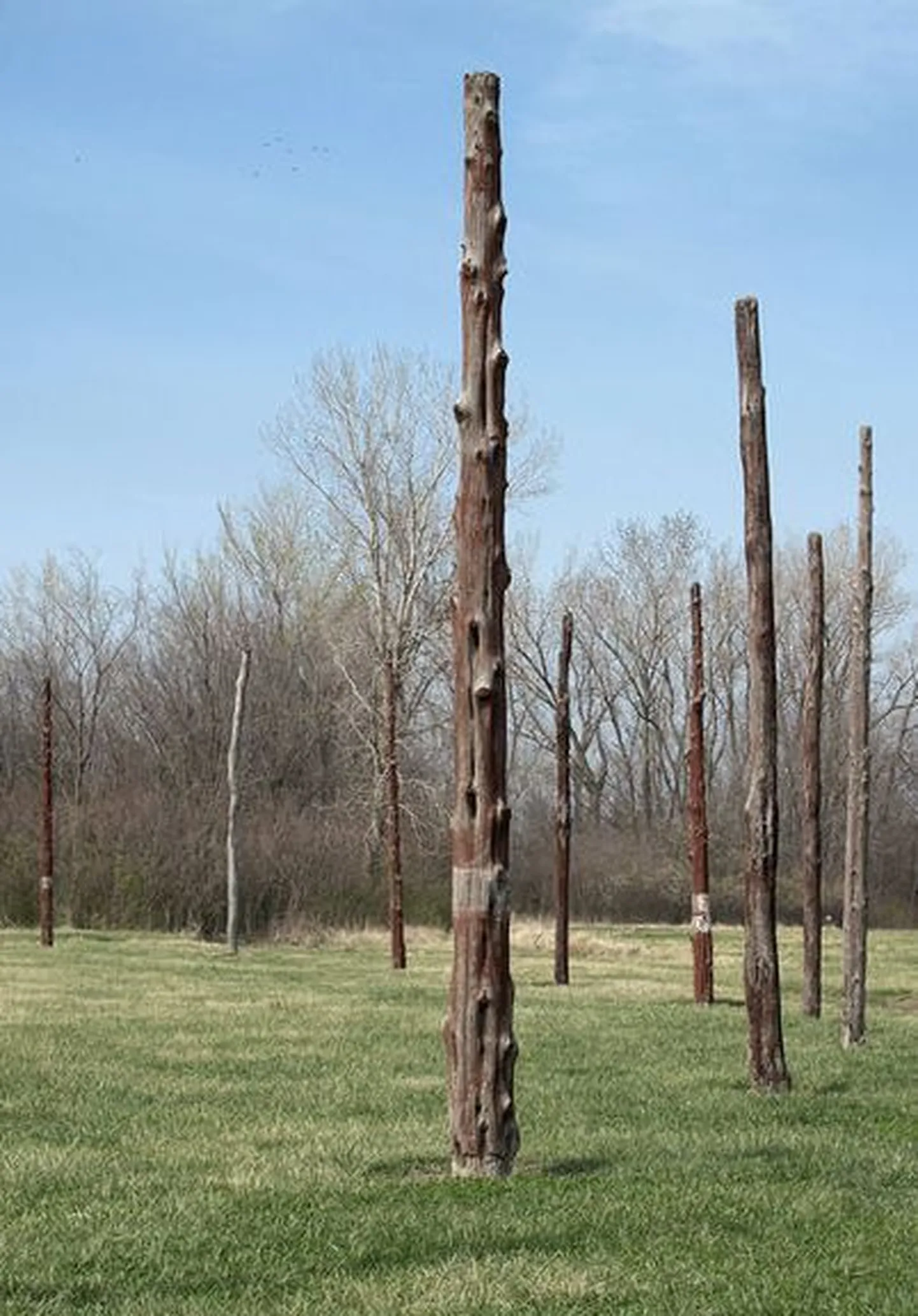 USAs oli oma «Stonehenge»? Fotol on tseremoniaalpaiga rekonstruktsioon