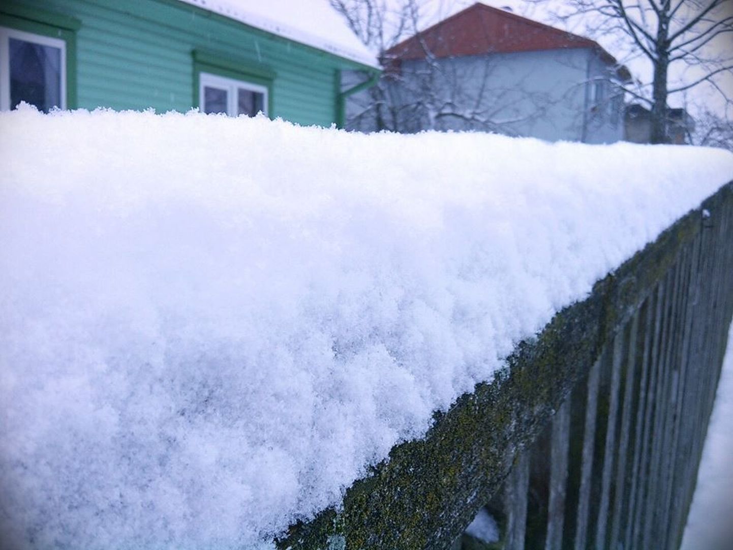 Esimene lumi Pärnus.