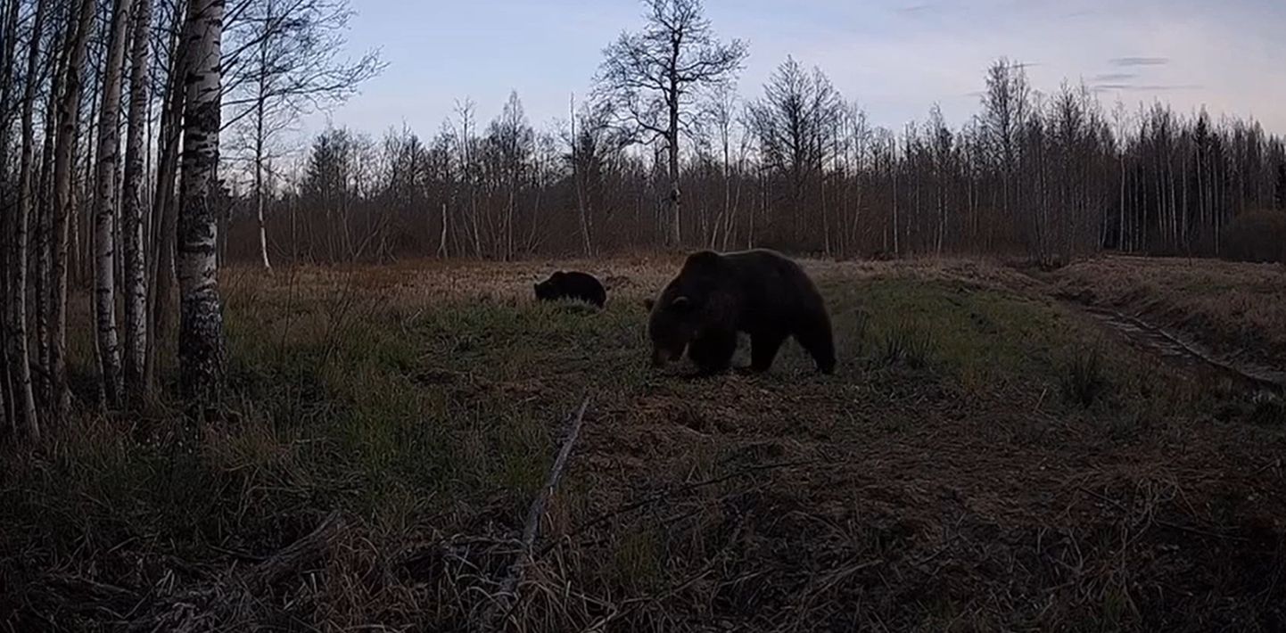 Karud rajakaamera ees