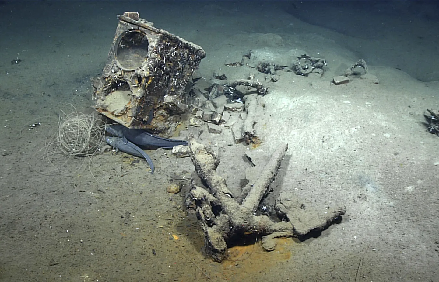 Mehhiko lahest leiti 1836. aastal hukkunud vaalapüügilaeva Industry vrakk, mis lebas umbes 70 miili kaugusel Mississippi jõe suudmest (NOAA Ocean Exploration via AP)