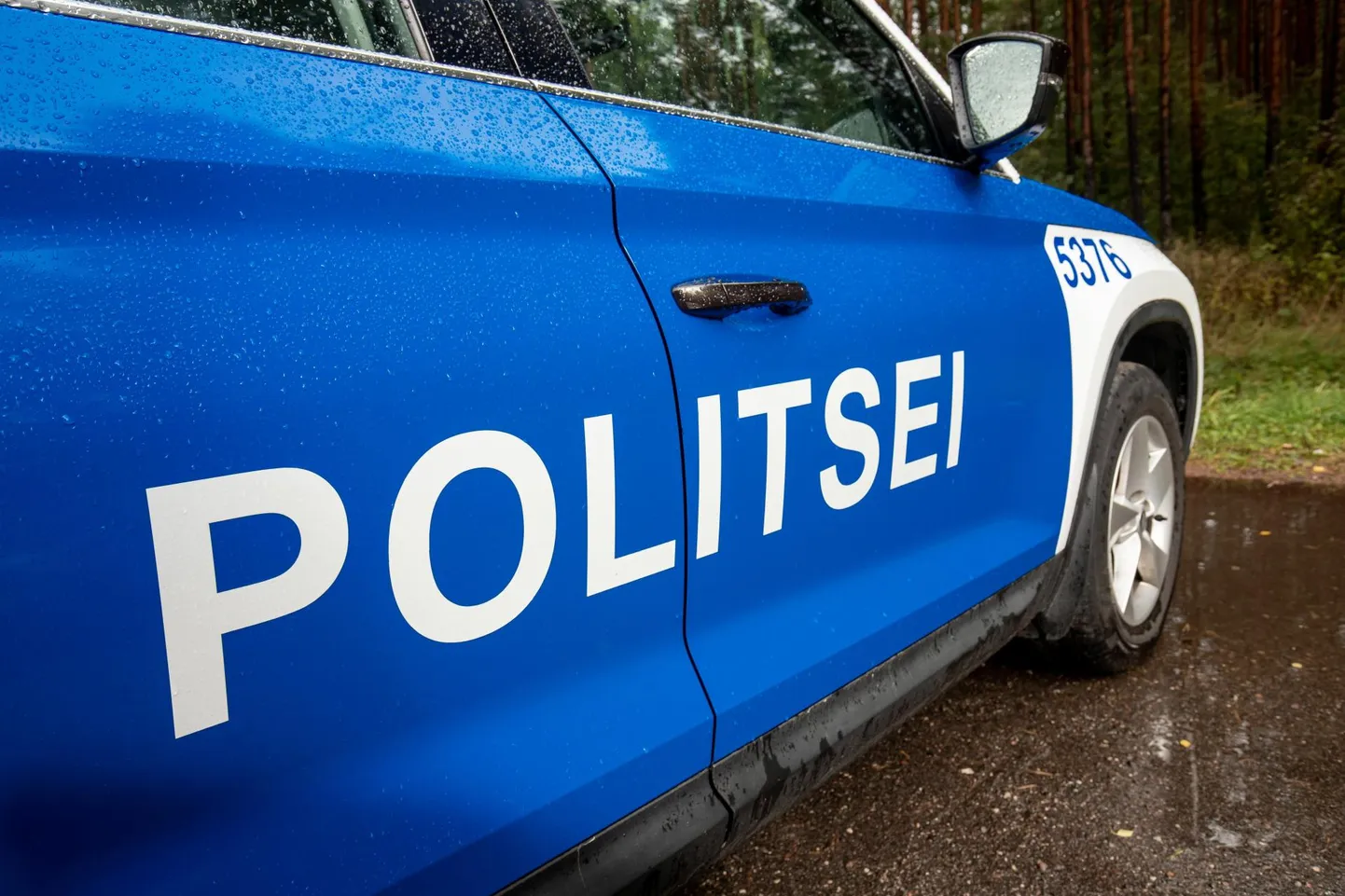 Politseiauto. Foto on illustreeriv.
