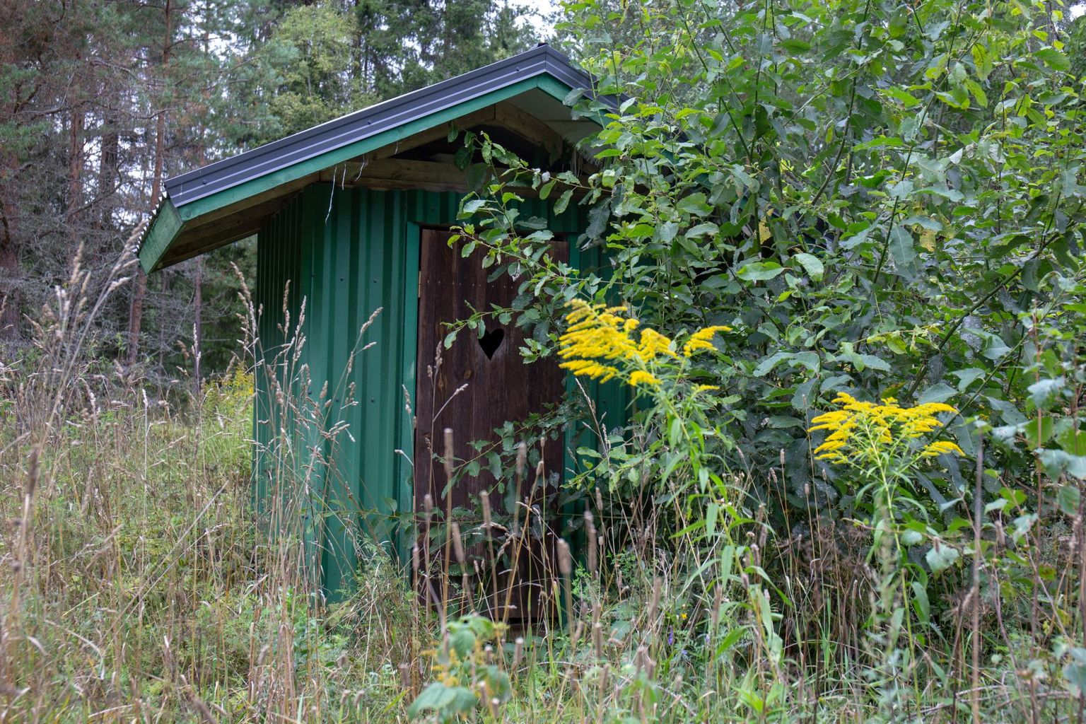 Kuivkäimlad on praegu pigem suvekodudes ja aianurgas, kuid tänapäevane tehnoloogia liigub üha rohkem selles suunas, et ka majas sees olev tualett oleks vee- ja haisuvaba.