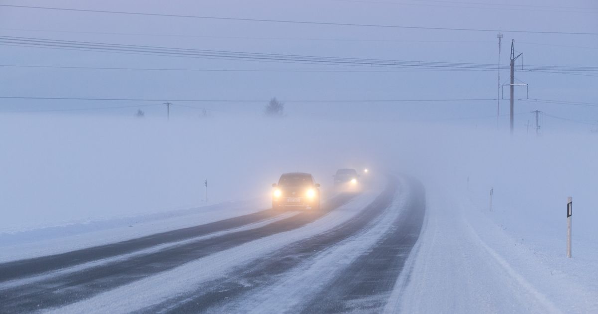 Аренда авто нарва эстония