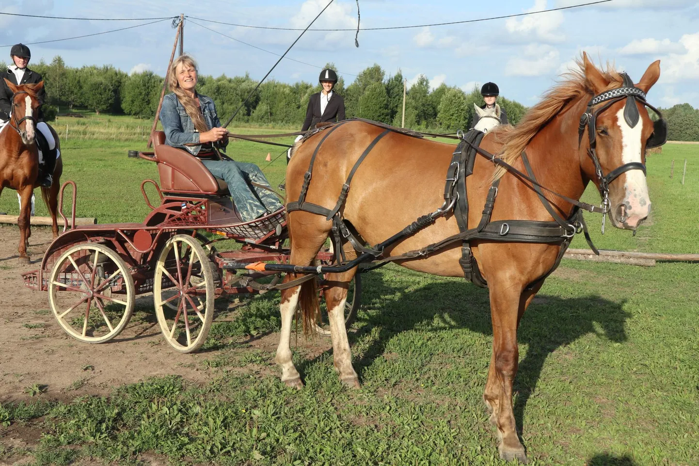 Vaabina talli juht Ester Ader hoiab kindlalt ohje, olgu ees üks või kaks hobust,sest toimetamine loomade ja inimestega on talle nii töö kui hobi eest.
