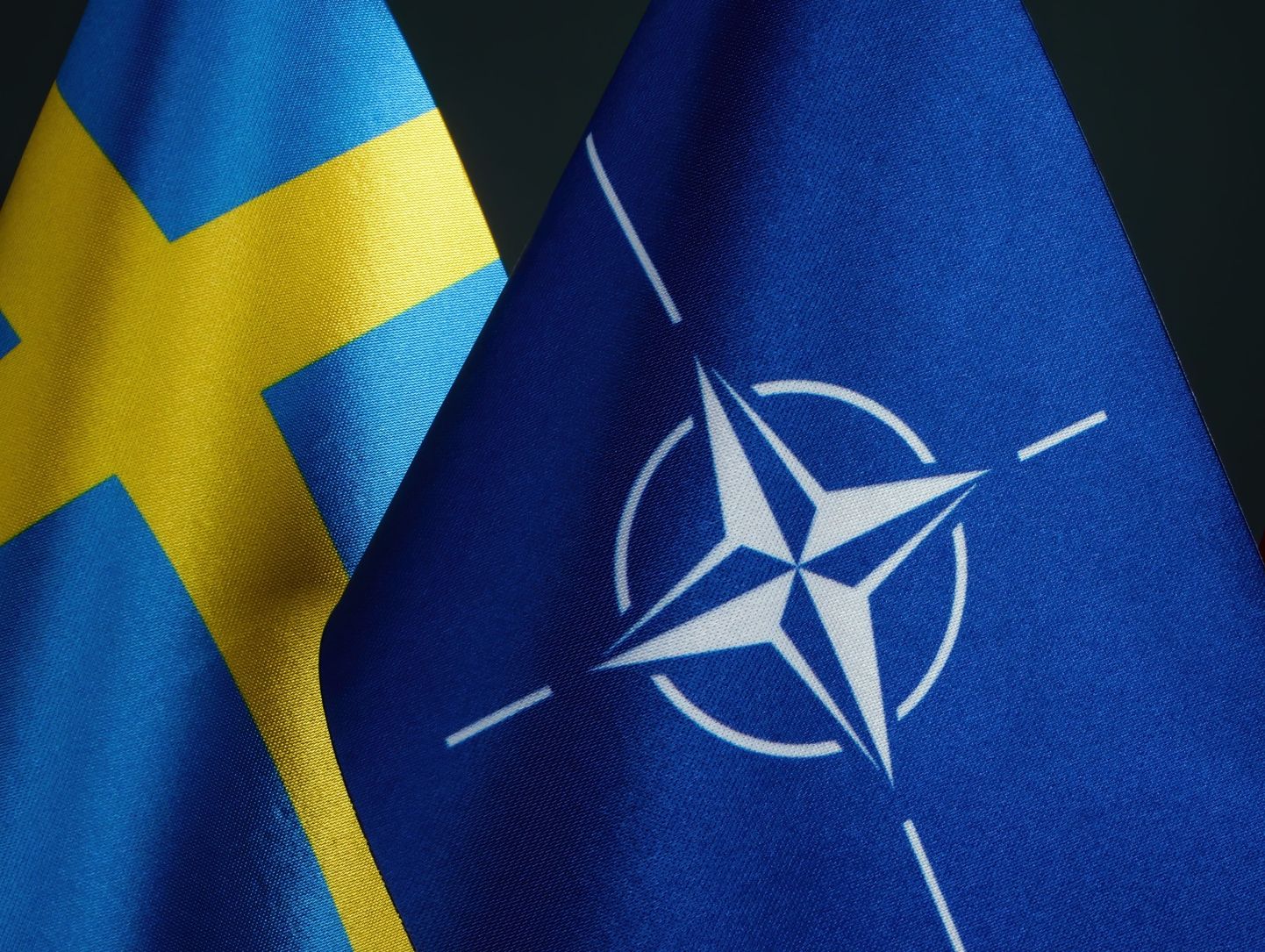 Флаги Швеции и НАТО.