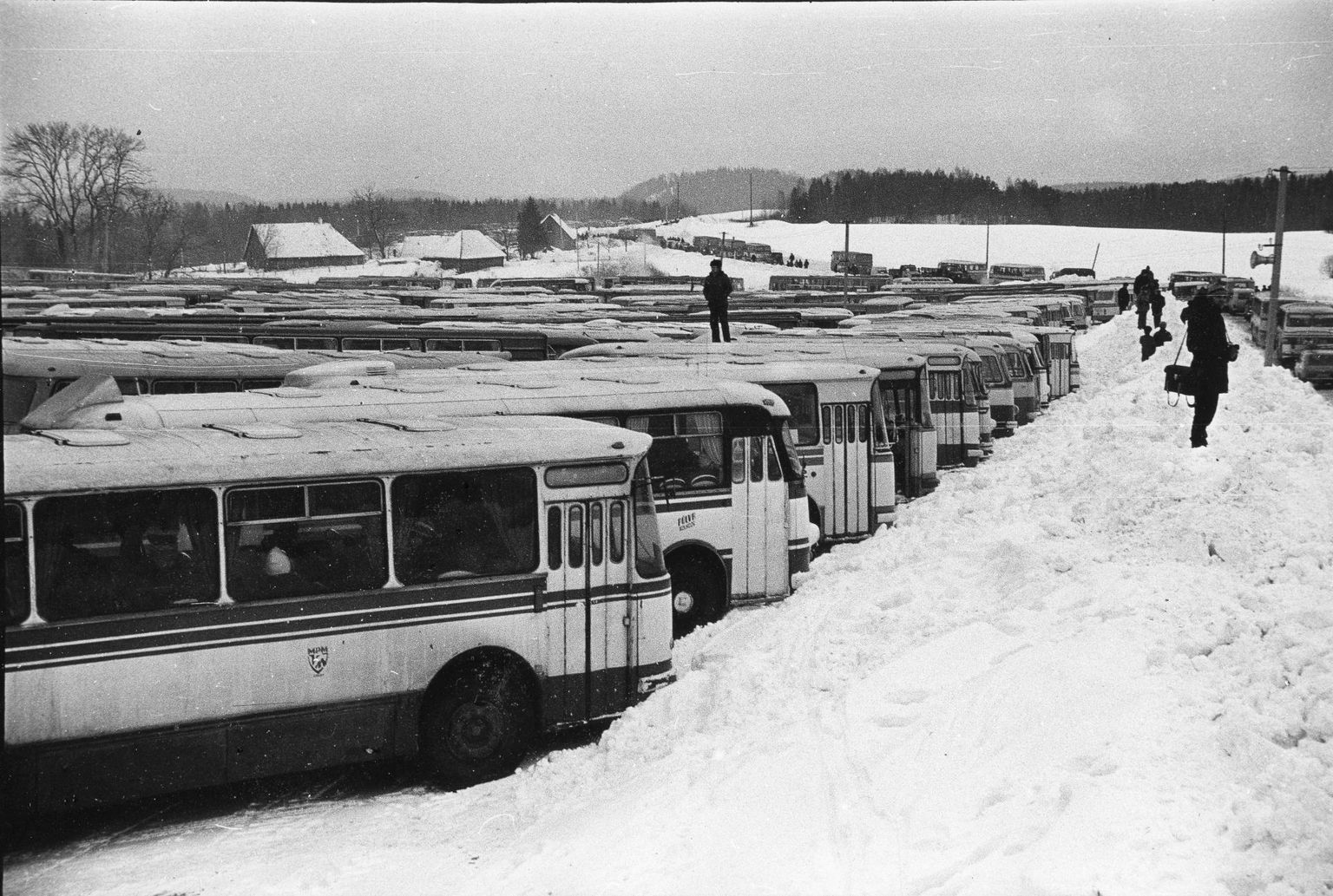 LAZ-id olid põhilised bussid Eesti maaliinidel. Need võtsid palju kütust ja kippusid lagunema.