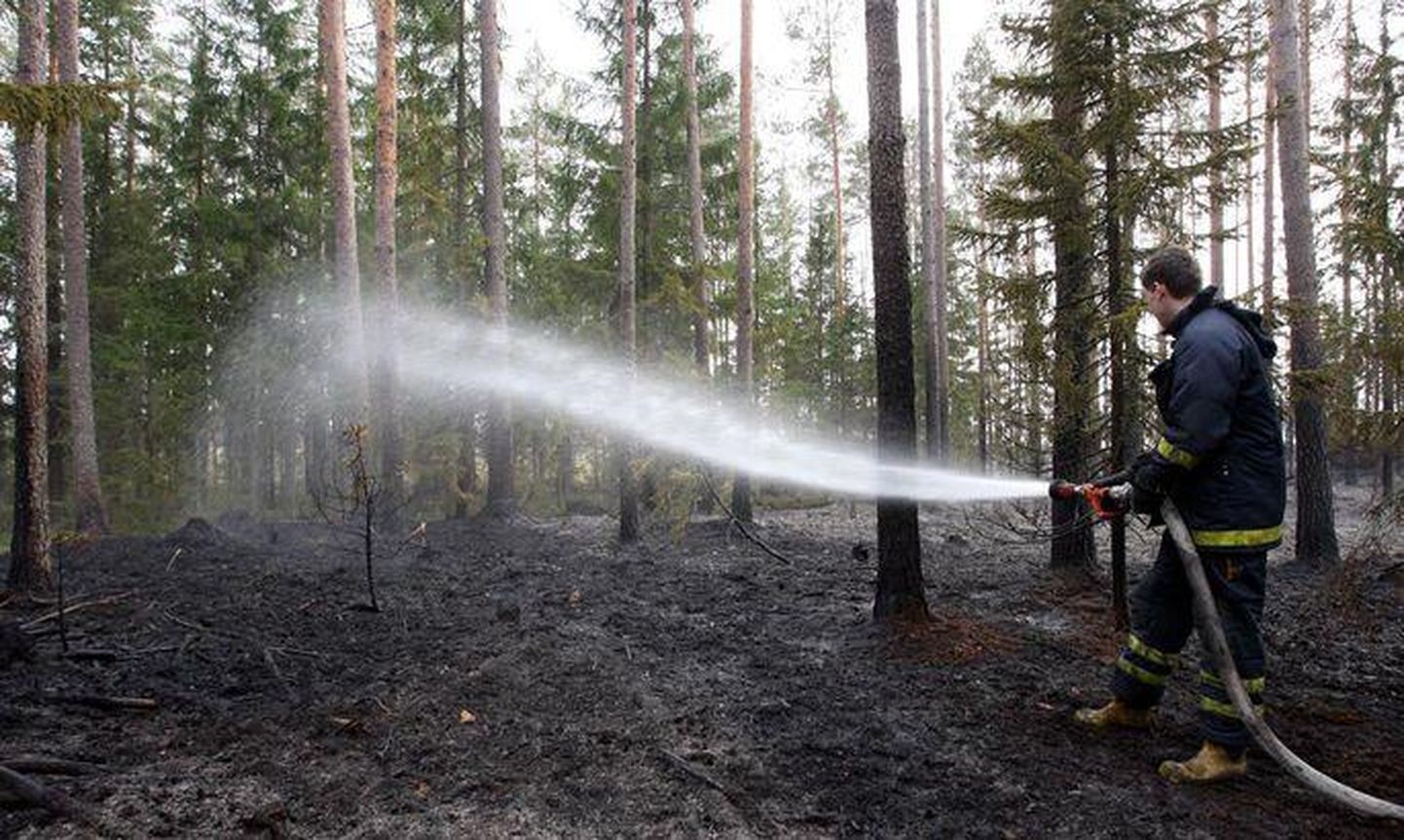 Aravuse külas põleb metsaalune. Foto on illustratiivne.