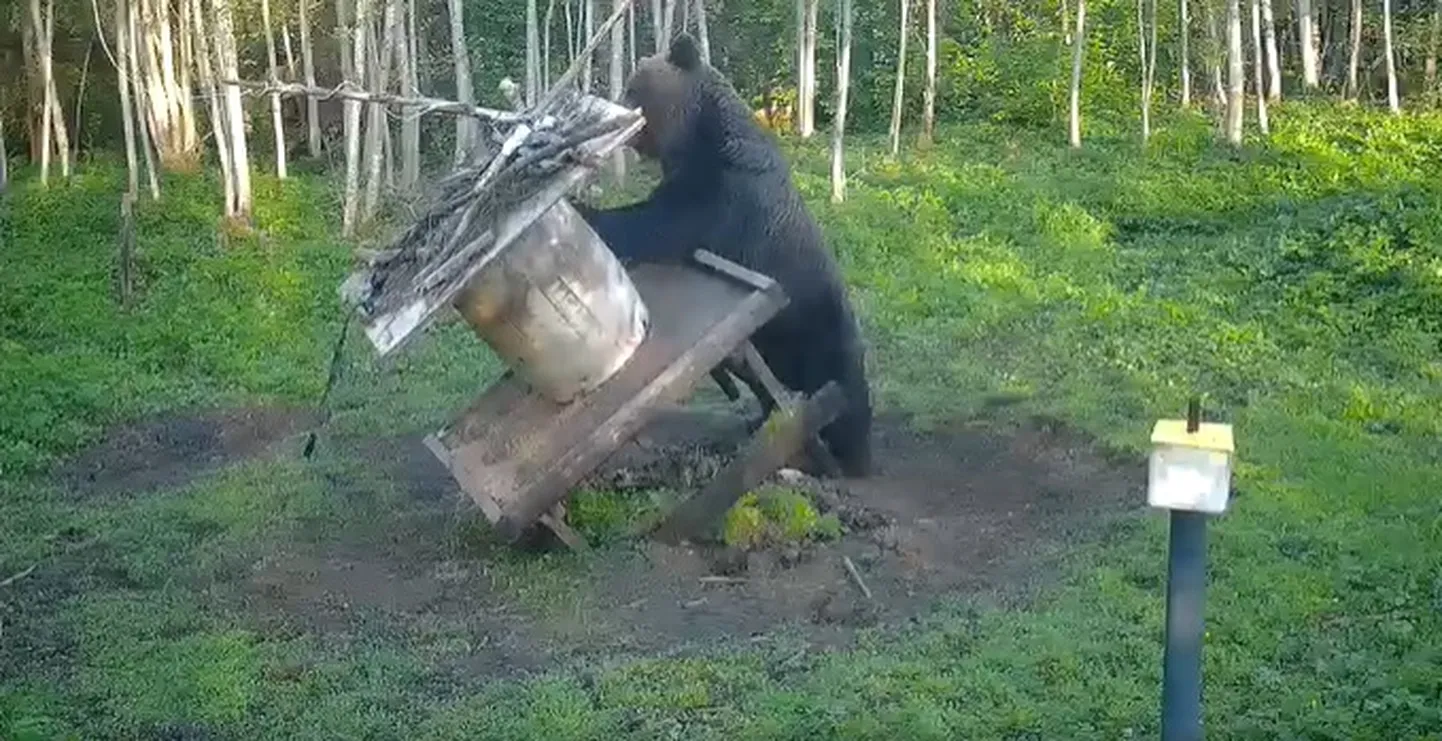 Karul on ikka karu jõud!
