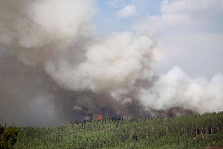 Tulekahju Hammarstrandis, Rootsis. Kuivadele ilmadele järgnes äike, mis süütas veel mitu kollet.