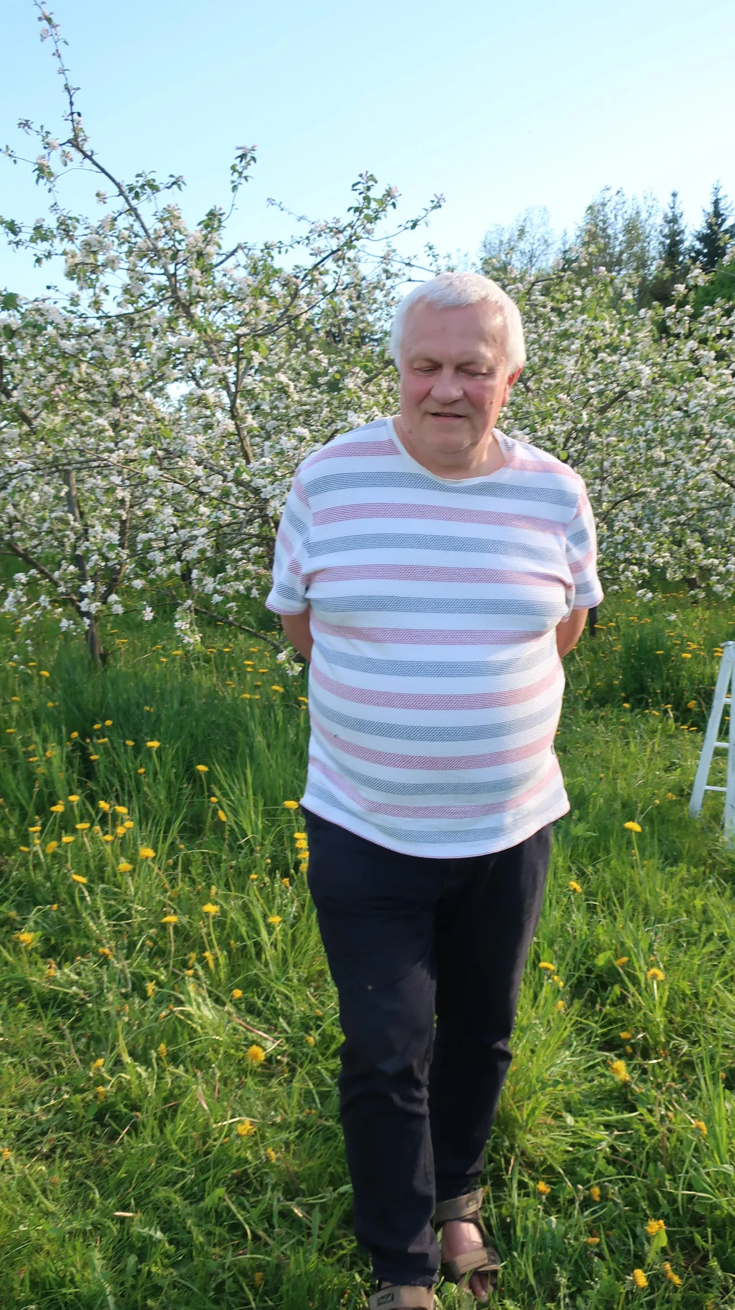 Siidrikoja juhataja Sulev Nõmmann on rahul, et ta ümber on kevaditi õitemeri ning ta saab seda ilu jagada paljudega.