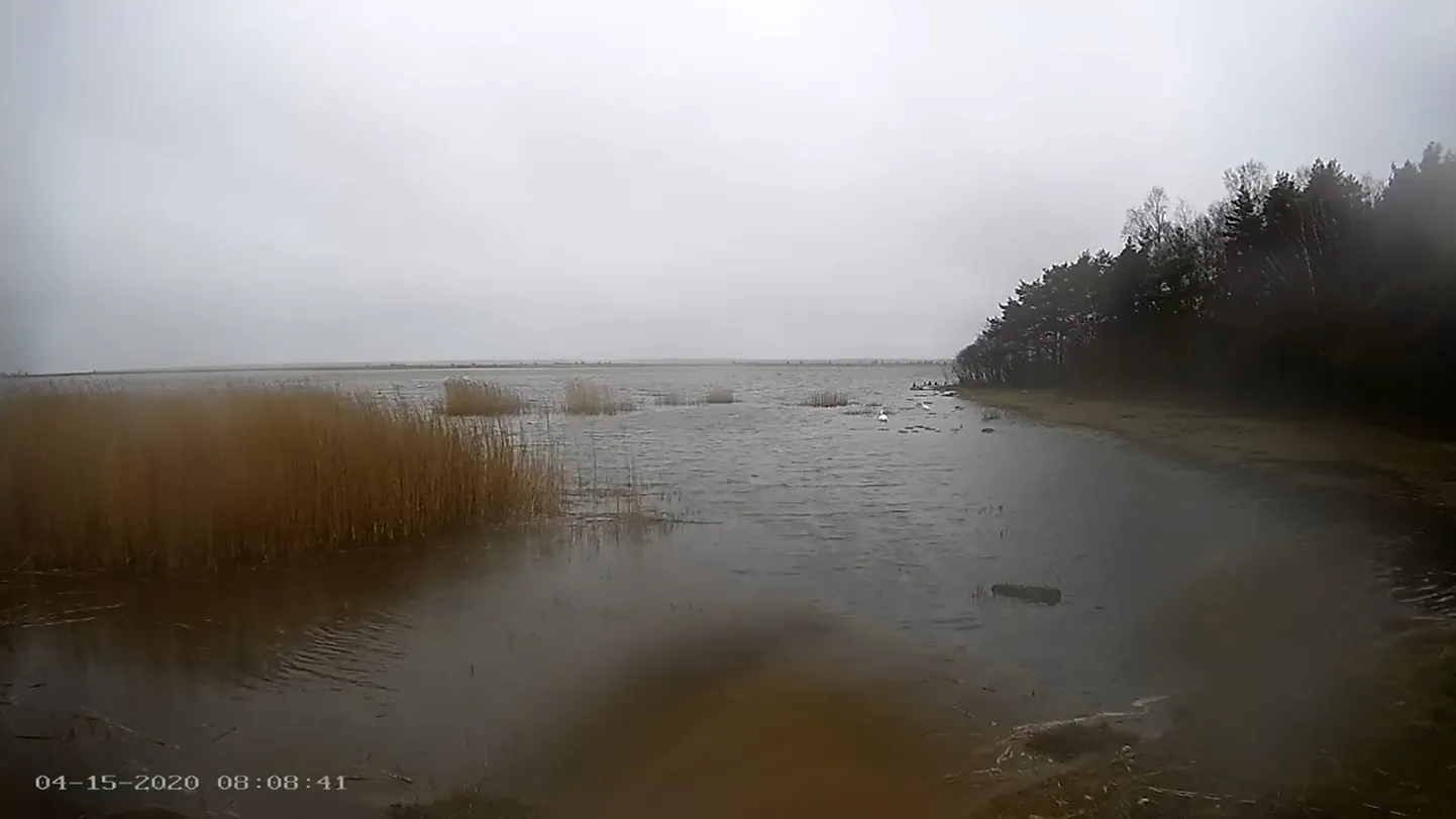 Looduskaamera Läänemaal Saunja lahe kaldal.
