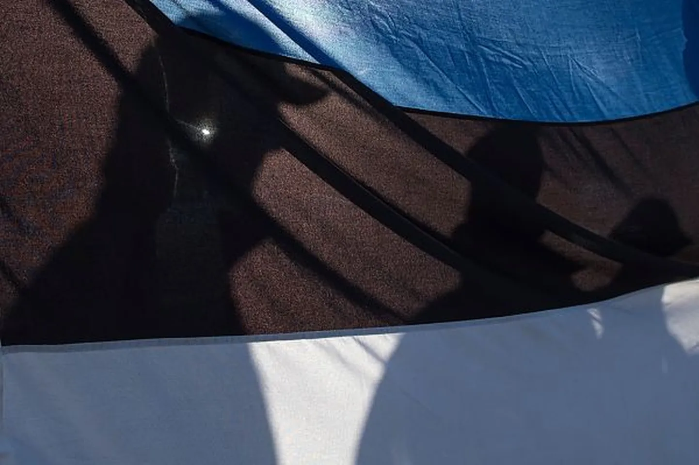 Флаг Эстонии. Иллюстративное фото.