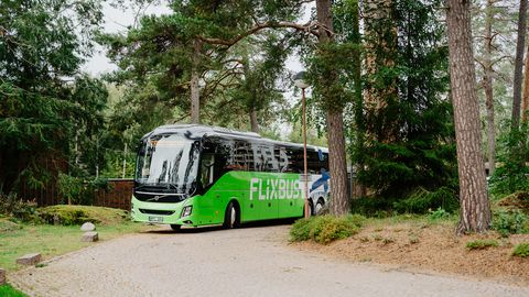 FlixBus avab kümme uut bussiliini Pärnu ja Soome vahel