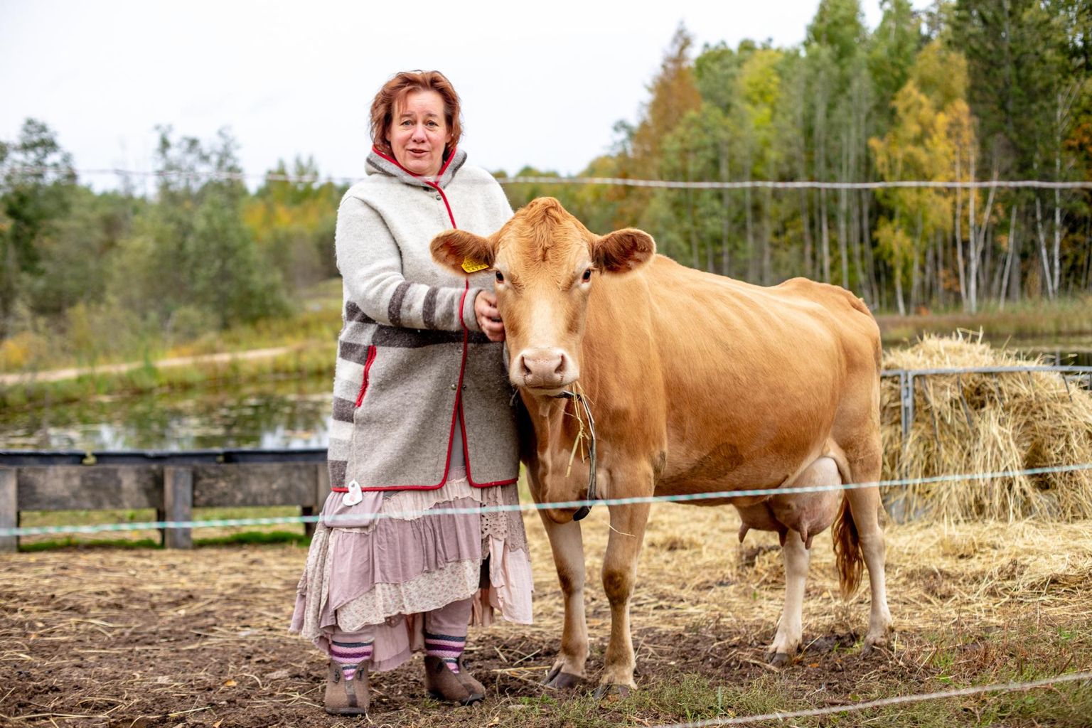 Maakari annab piima vähem, aga see sobib juustu tootmiseks rohkem. Fotol Merle Leibur koos värske karjaliikmega.
