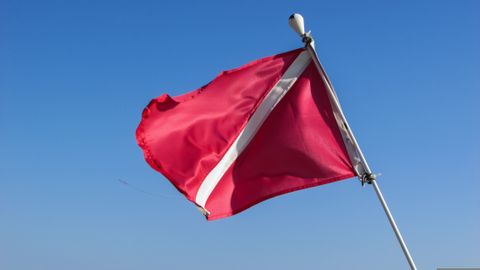 Anekdoot: rinnamärk, mis meenutab signaallippu