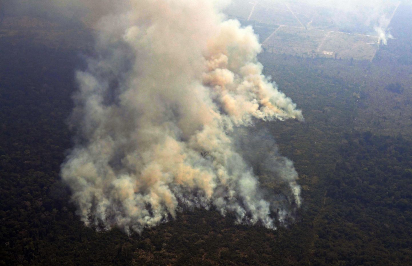 Пожары в дождевых лесах  Амазонии