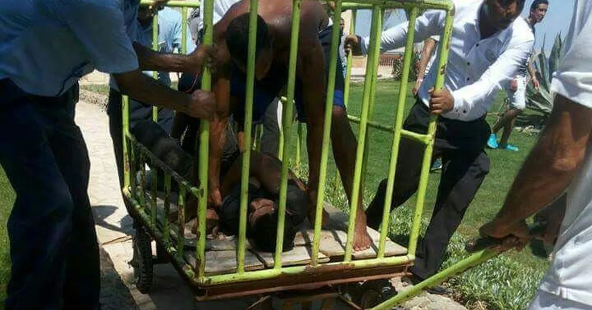 Нападение террористов на отель в египте. Нападение акулы в египте в 2023. В египте акула напала на туристов 2022. Красное море акулы. Черепаший остров сиде.