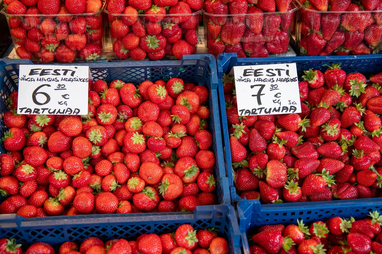 Maasikate hinnad turul