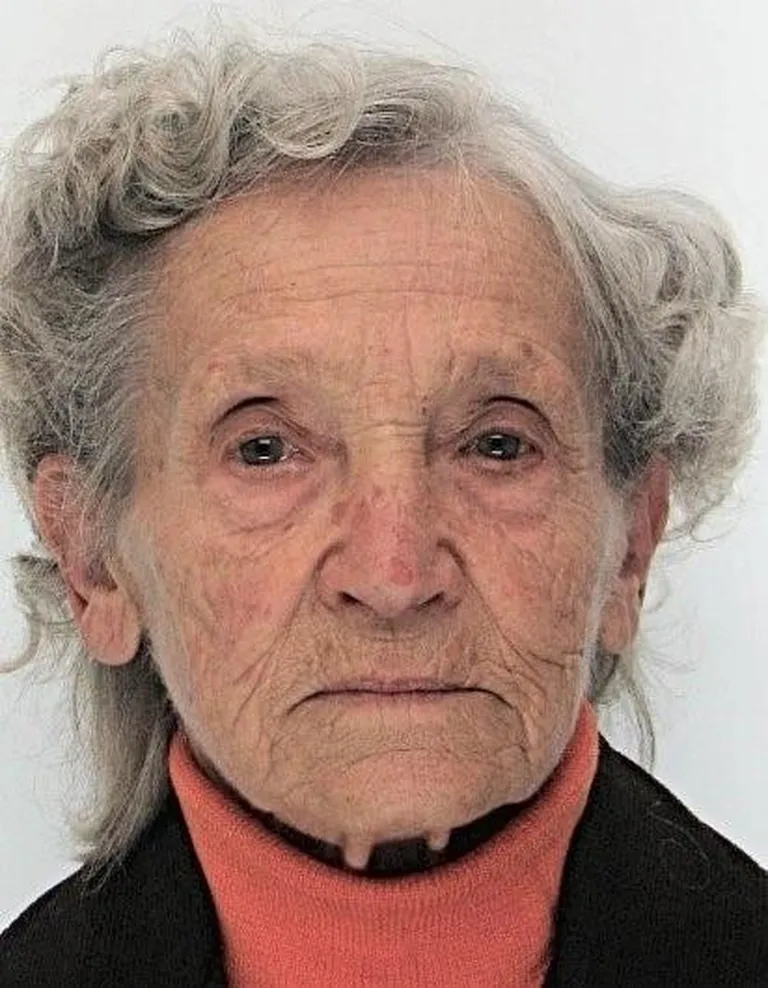 Politsei otsib Pärnumaal kadunud 87aastast Helenet.