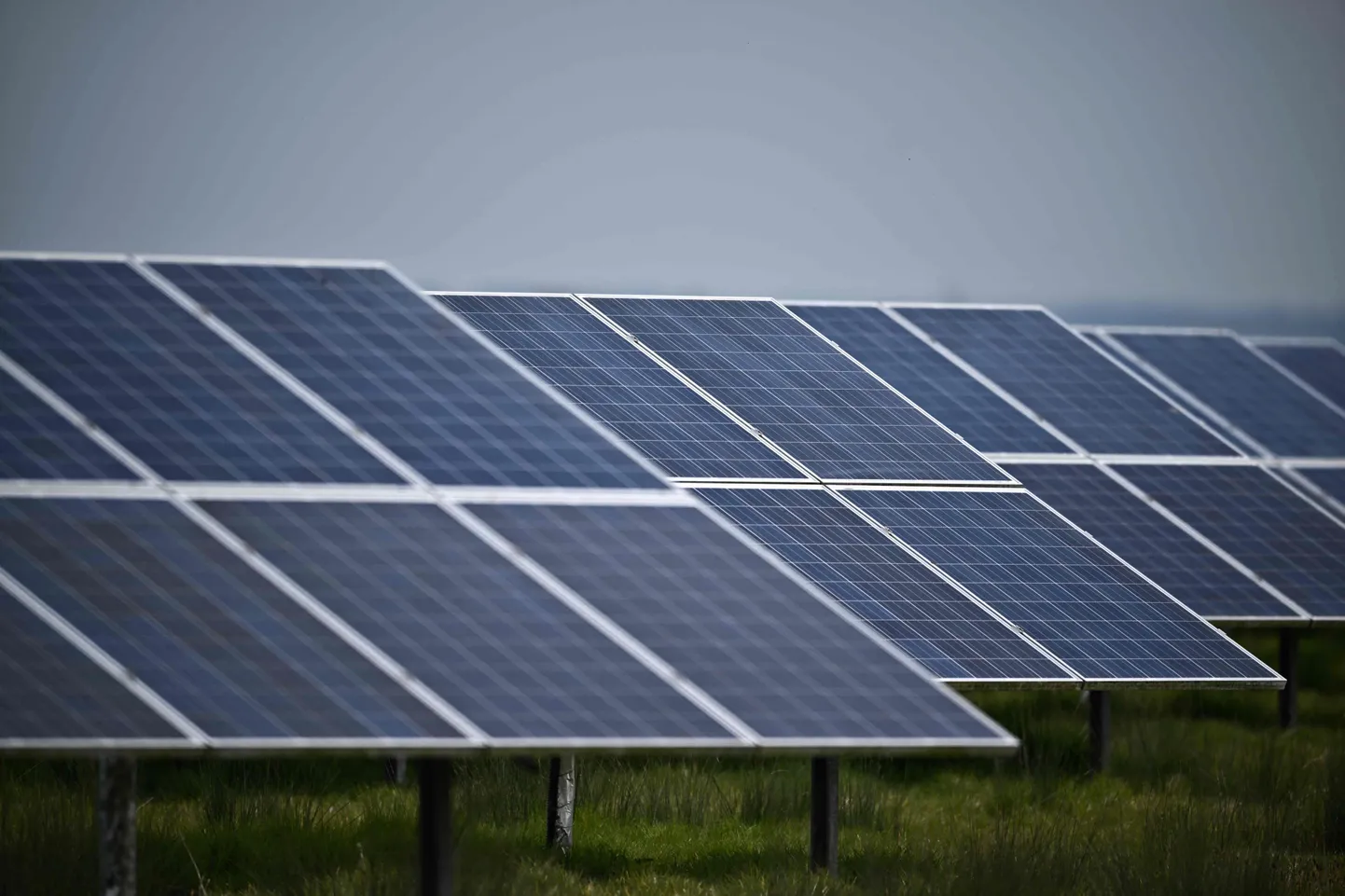 Heade arenguna tõi EEB välja seadustesse sisse kirjutatud kliimaneutraalse Euroopa lubaduse ning põhjaliku «Eesmärk 55» paketi, mida toetab ka tänavu mais vastu võetud REPowerEU kava, mille eesmärk on taastuvenergia osakaalu ja energiatõhususe suurendamine.