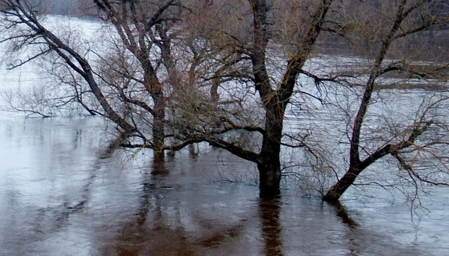 Raksta foto