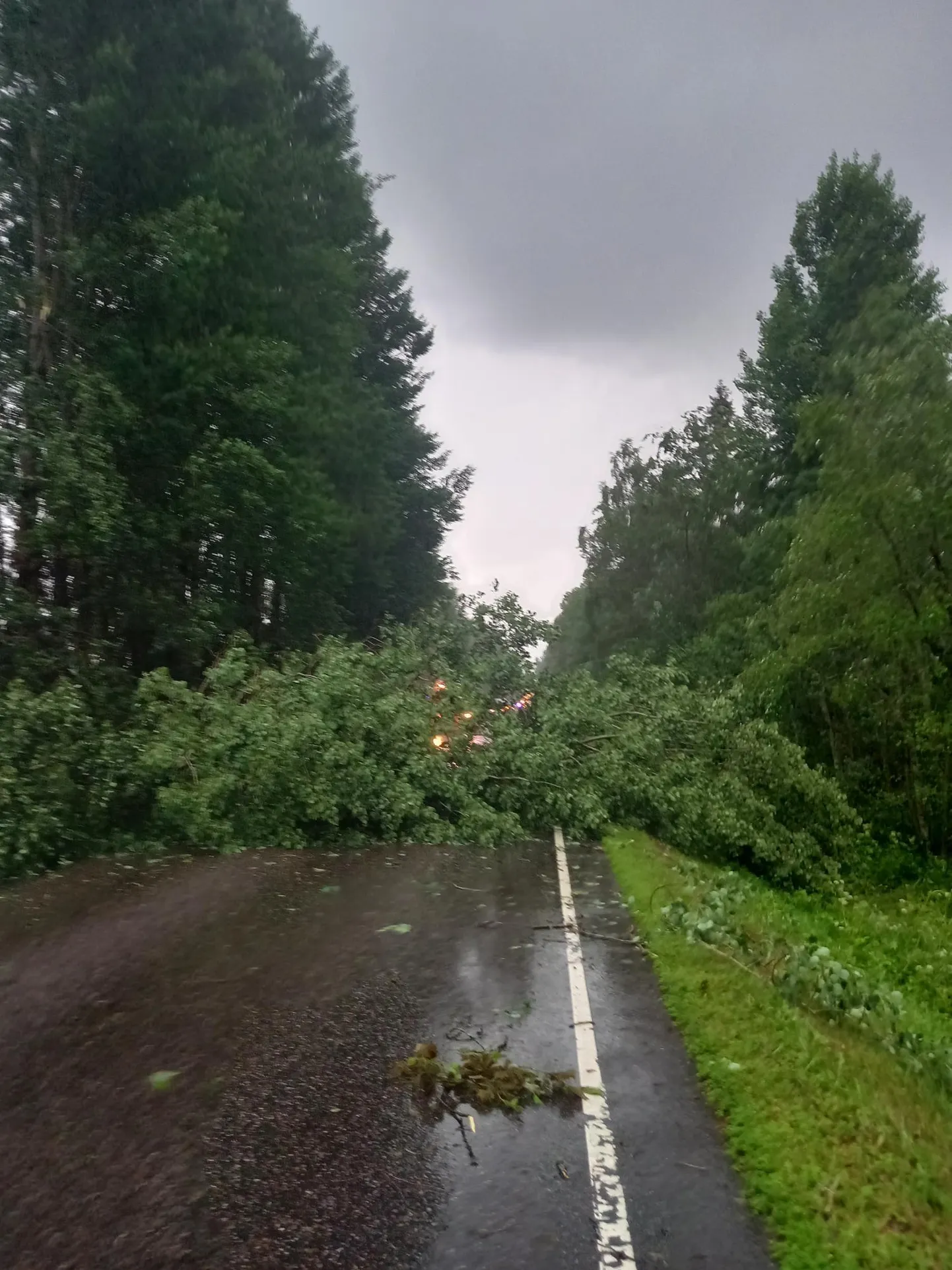 Puu langes teele Tartu vallas Uhmerdu kandis ning sulges mõneks ajaks liikluse.