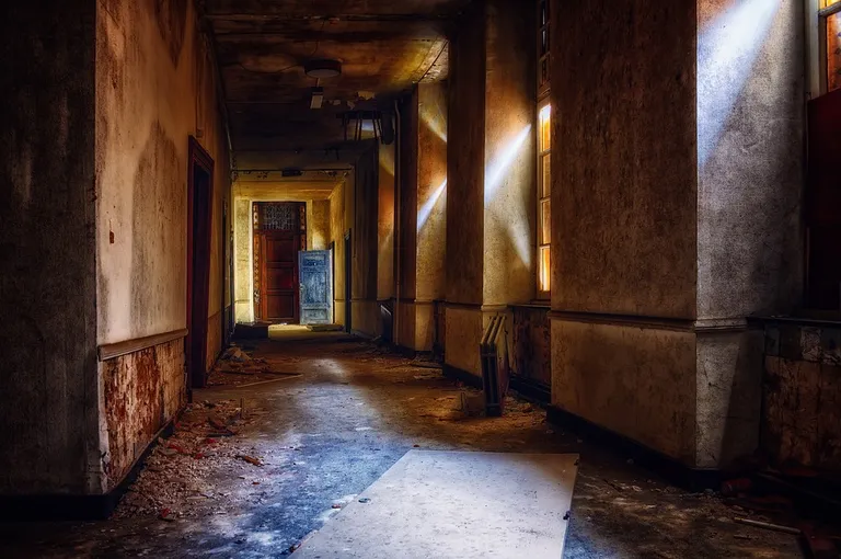 Фото статьи