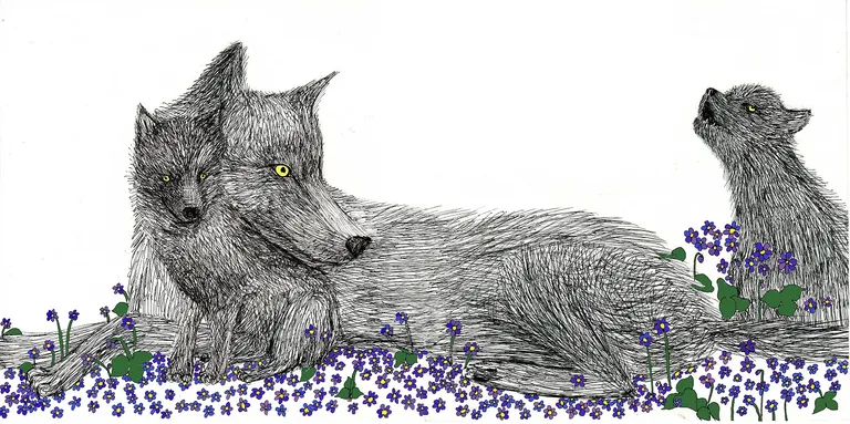 Liisa Maria Murdvee illustratsioon.