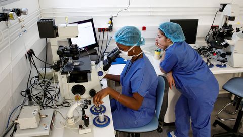 Скандал в Европе: почти двести детей зачаты от донора с мутацией, вызывающей рак