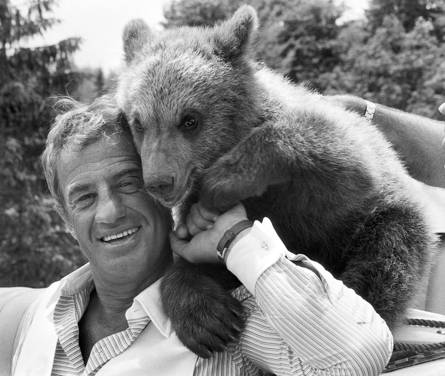 25. juuni.1982. Jean-Paul Belmondo Beethoveni-nimelise karuga Saksamaal filmivõtetel.